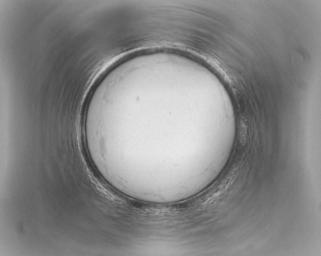 X0000115800895200912041531