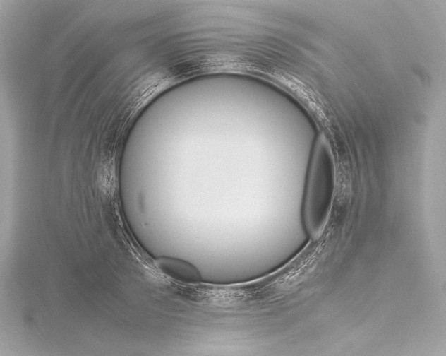 X0000115800897200912041531