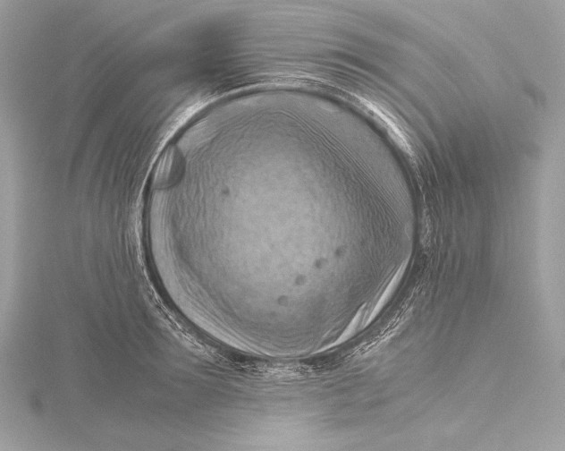 X0000115800899200912041531