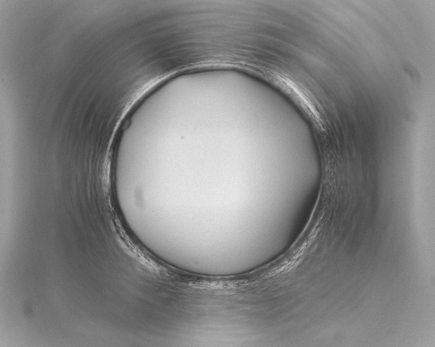 X0000115800900200912041531