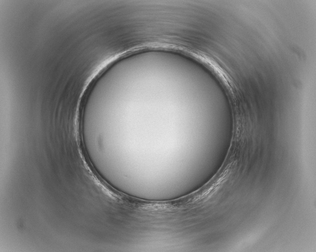 X0000115800902200912041531