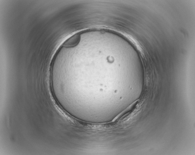 X0000115800903200912041531