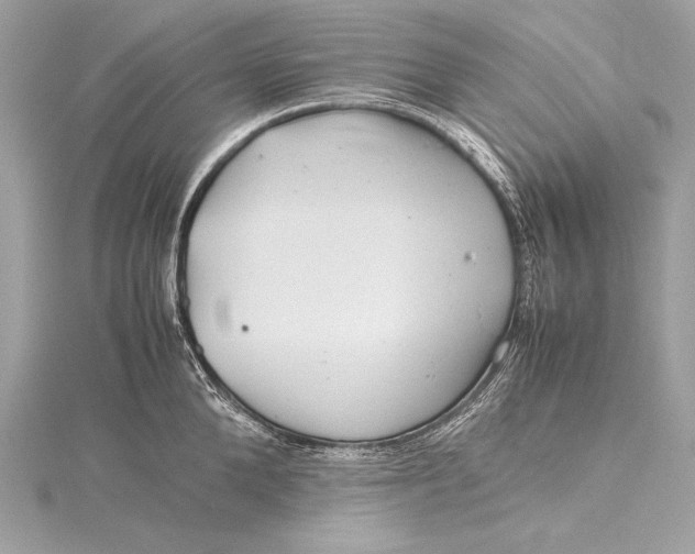 X0000115800904200912041531