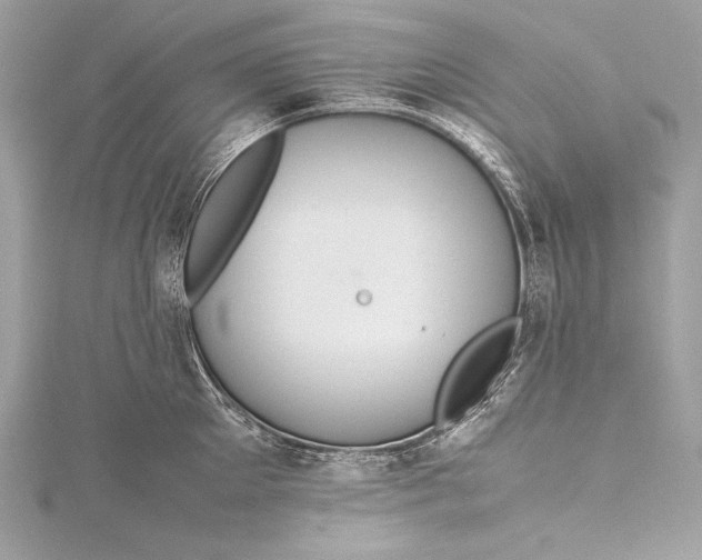 X0000115800905200912041531