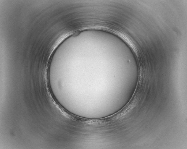 X0000115800906200912041531