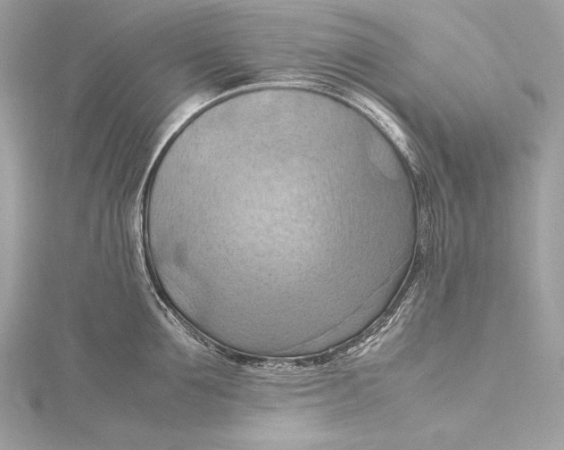 X0000115800907200912041531