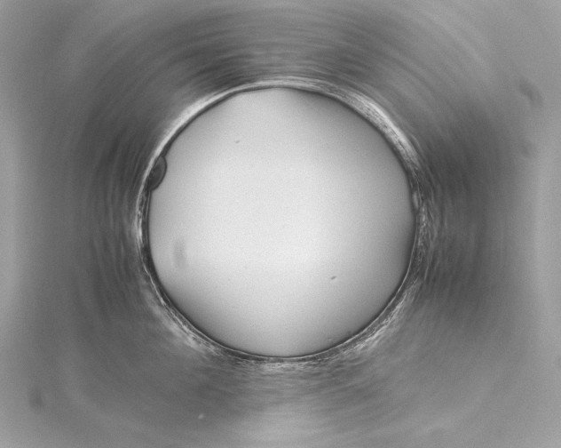 X0000115800908200912041531