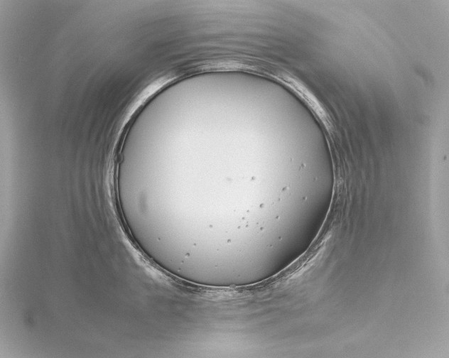 X0000115800909200912041531