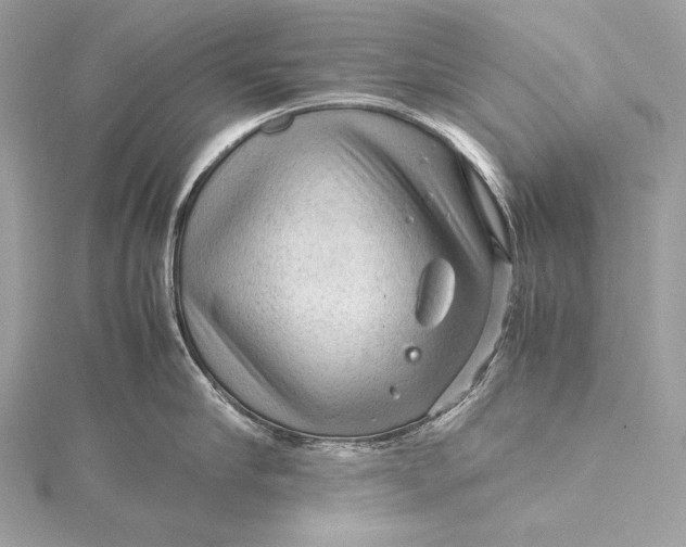 X0000115800910200912041531