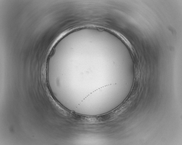 X0000115800911200912041531