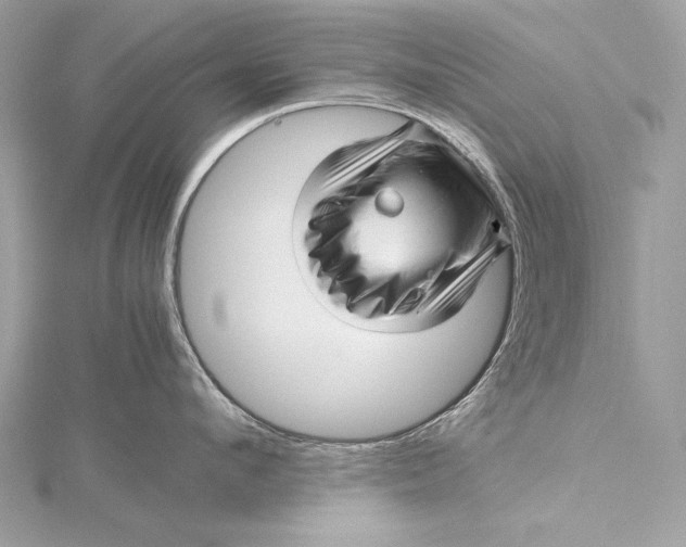 X0000115800912200912041531