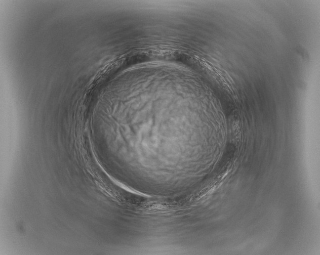 X0000115800913200912041530