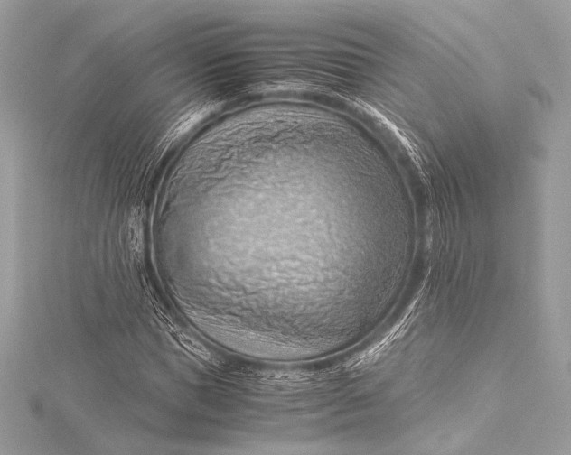 X0000115800921200912041530