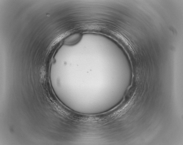 X0000115800922200912041530