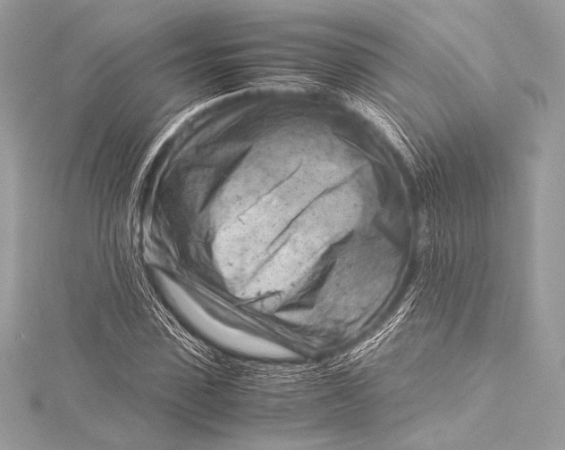 X0000115800923200912041530