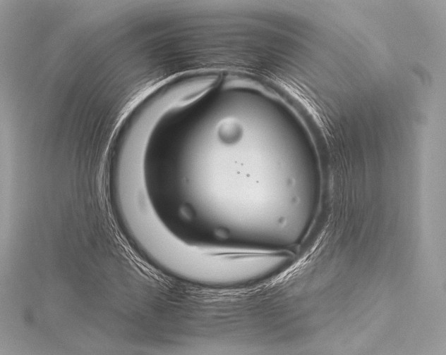 X0000115800925200912041530