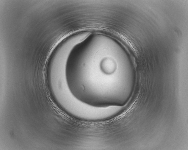 X0000115800926200912041530