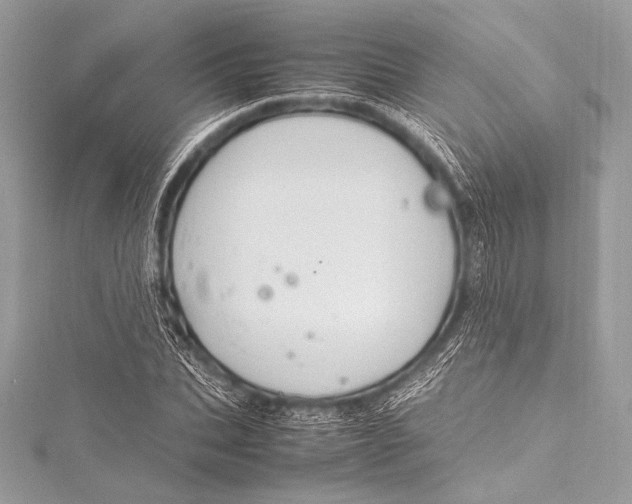 X0000115800927200912041530