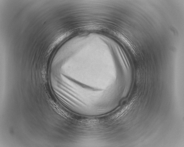 X0000115800930200912041530