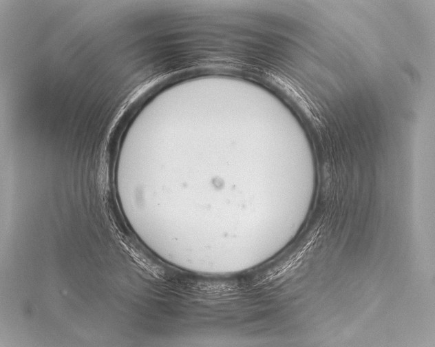 X0000115800931200912041531