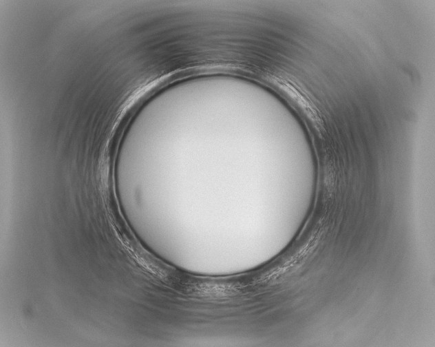 X0000115800933200912041531