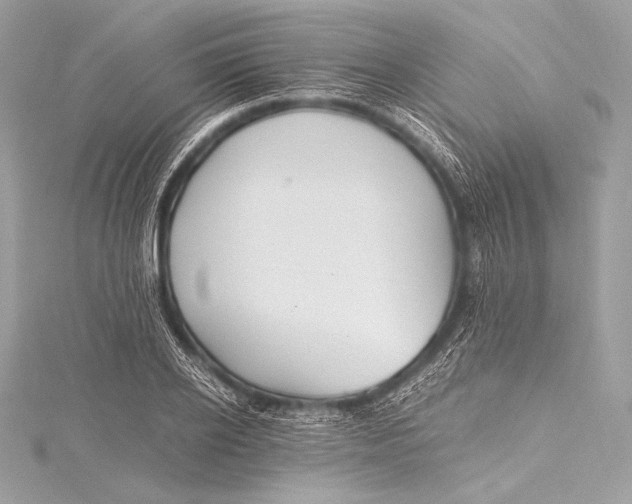 X0000115800934200912041531