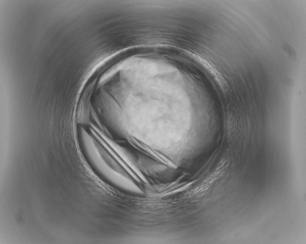 X0000115800935200912041531