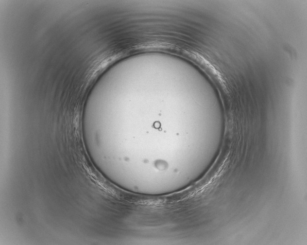 X0000115800937200912041531