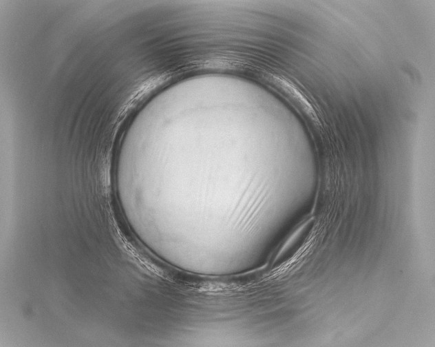 X0000115800938200912041531