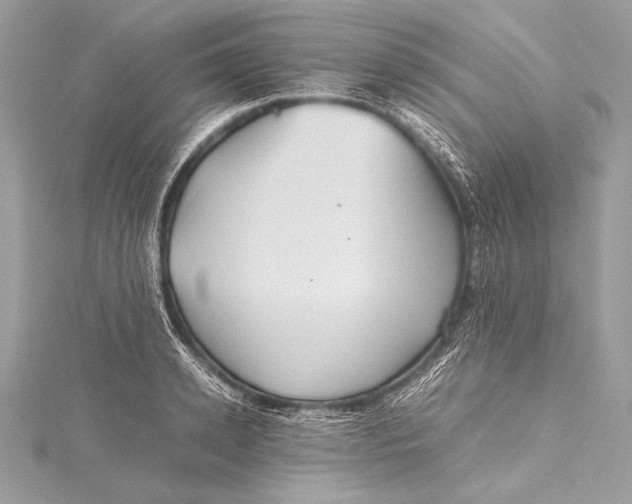 X0000115800942200912041531