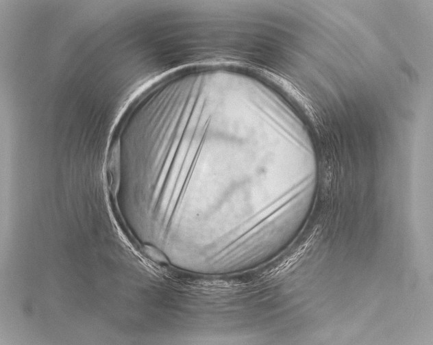 X0000115800943200912041531