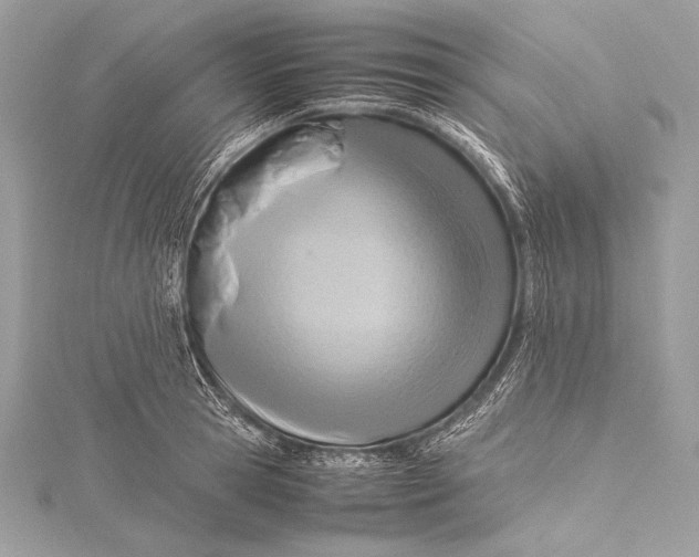 X0000115800945200912041531