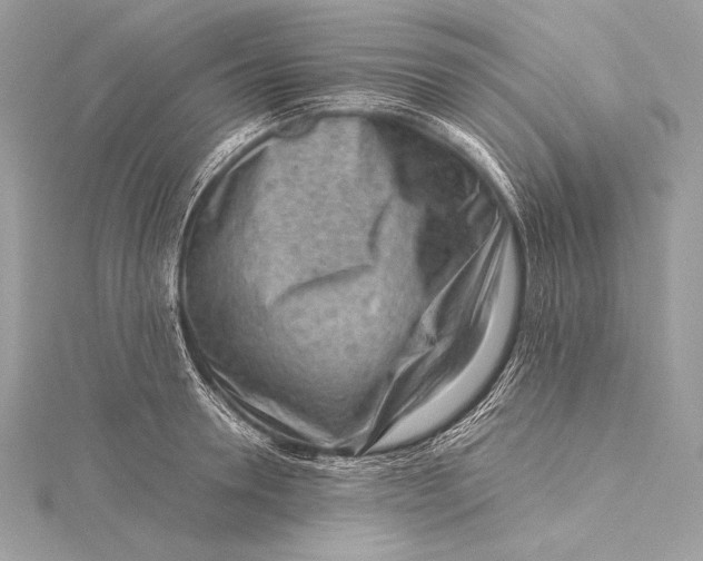 X0000115800946200912041531