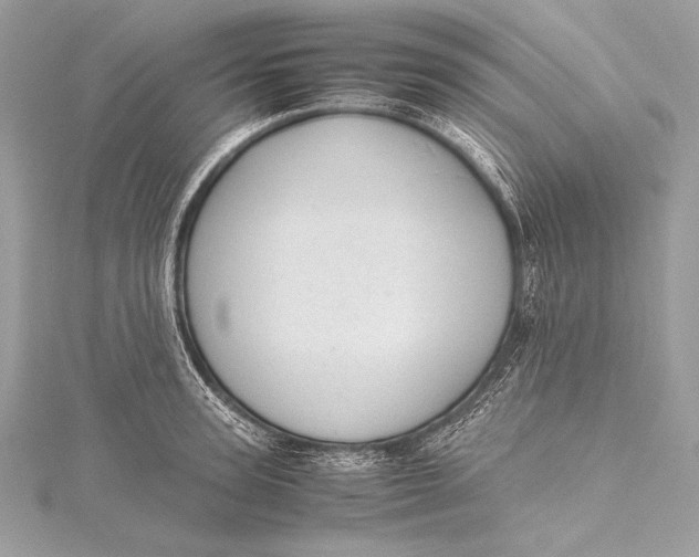 X0000115800947200912041531