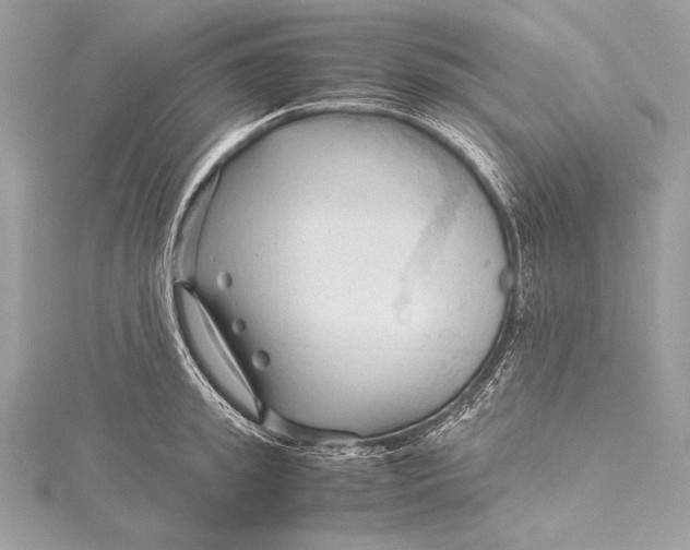 X0000115800949200912041531