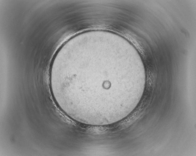 X0000115800950200912041531