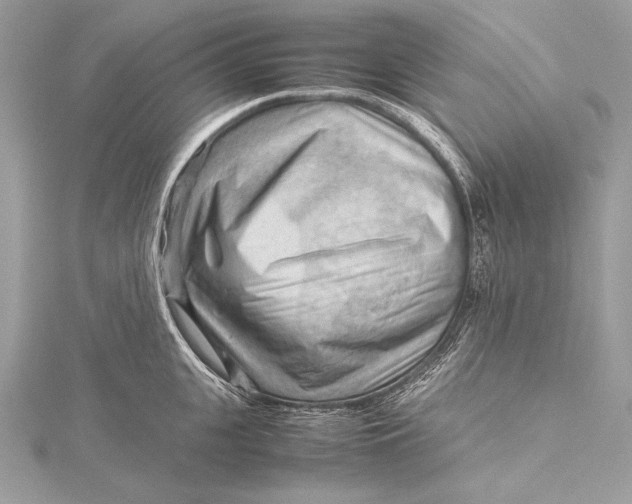 X0000115800951200912041531