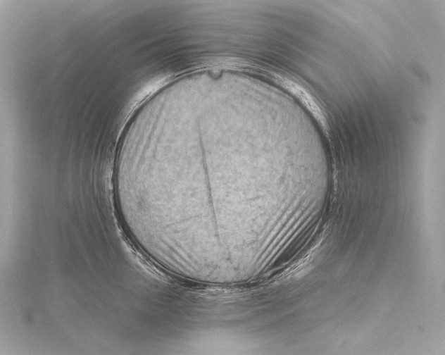 X0000115800954200912041531