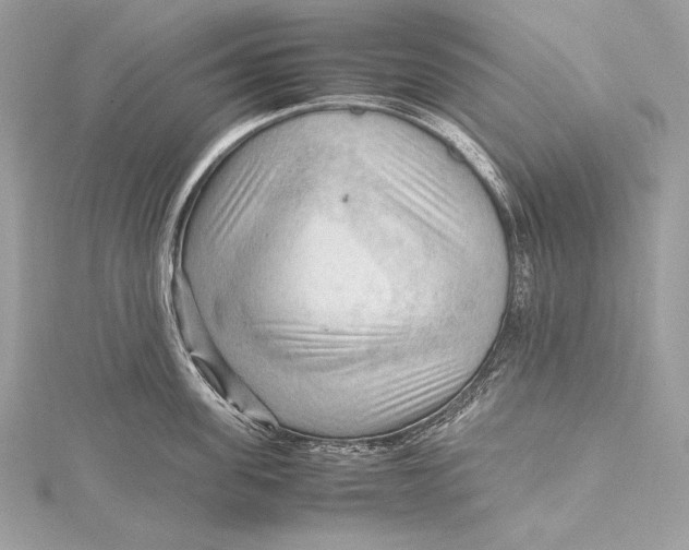 X0000115800955200912041531