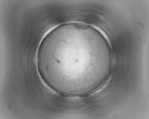 X0000115800957200912041531