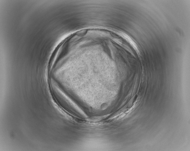 X0000115800958200912041531