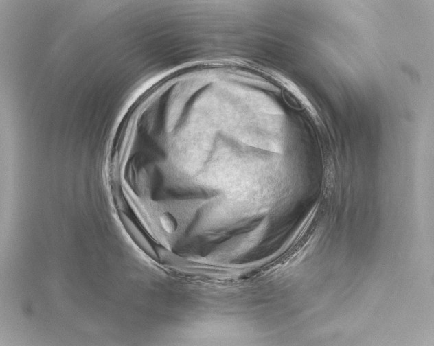 X0000115800959200912041531