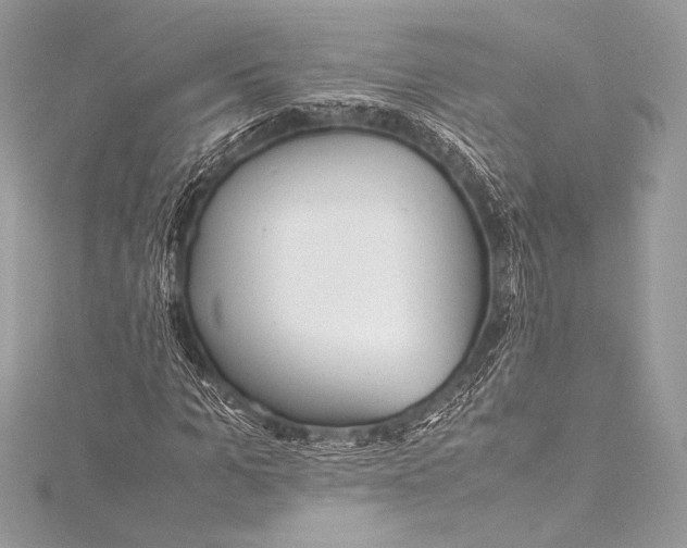 X0000115800965200912041530