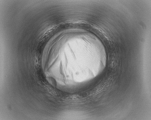 X0000115800966200912041530