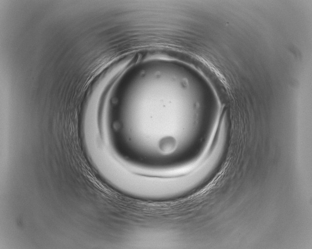 X0000115800969200912041530