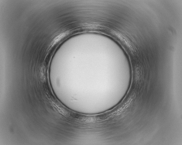 X0000115800970200912041530