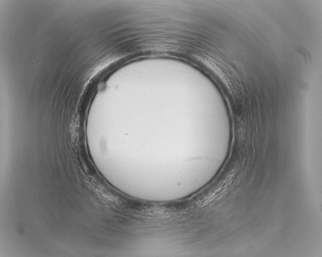 X0000115800971200912041530