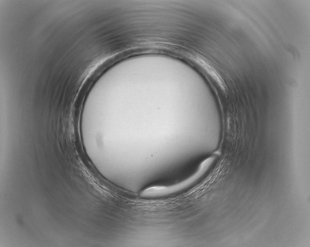 X0000115800972200912041530