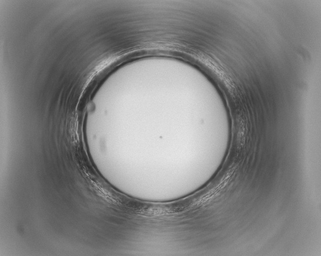 X0000115800974200912041530