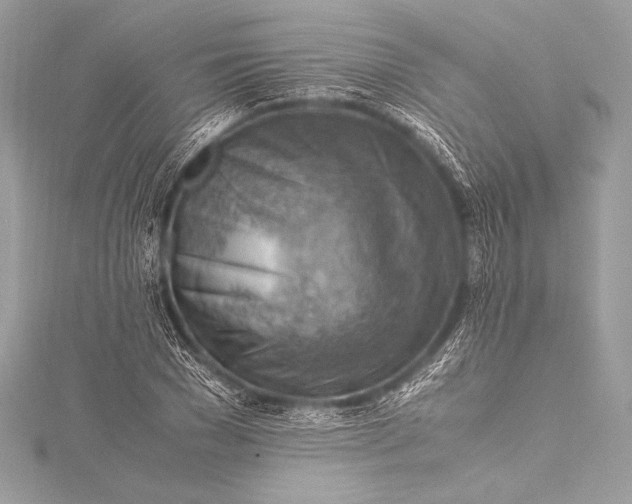 X0000115800977200912041530